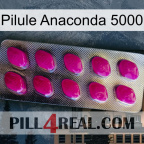 Anaconda 5000 Pill 09